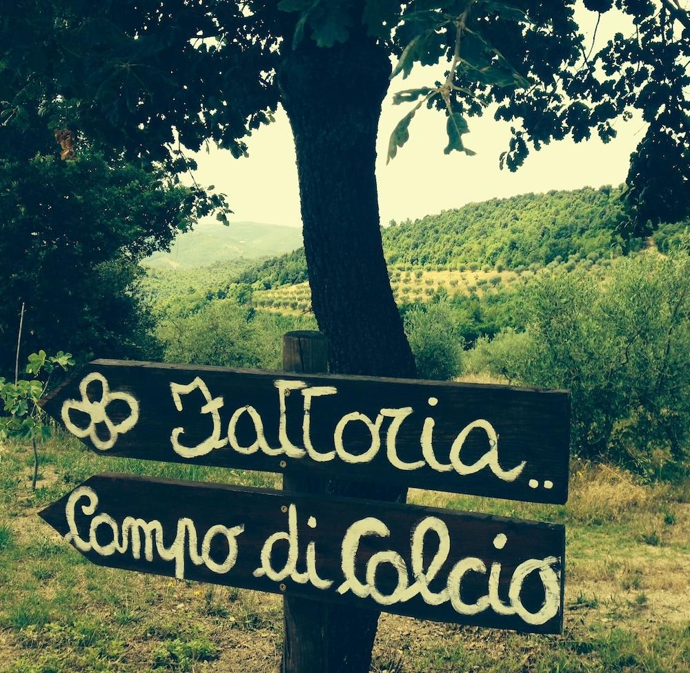 Tenuta di Forte Sorgnano 2