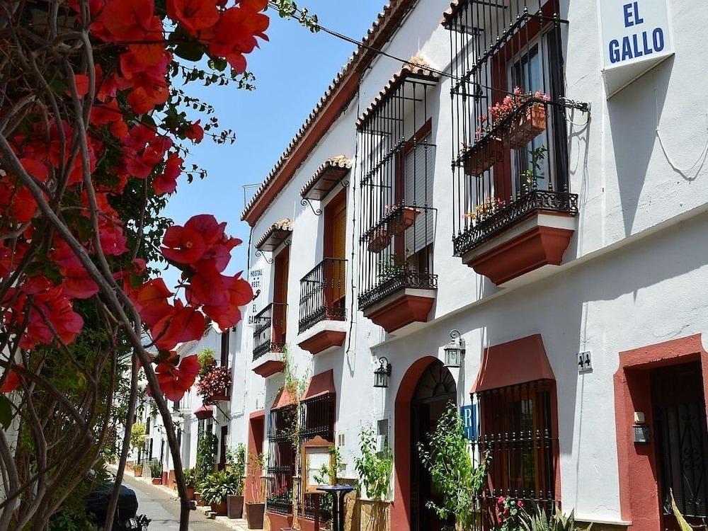 Hostal El Gallo 2