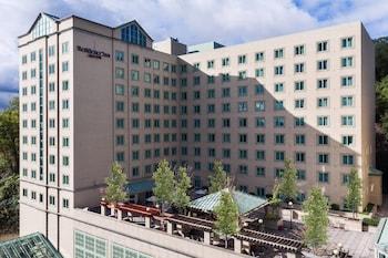 Residence Inn Pittsburgh University/ Medical Center 2