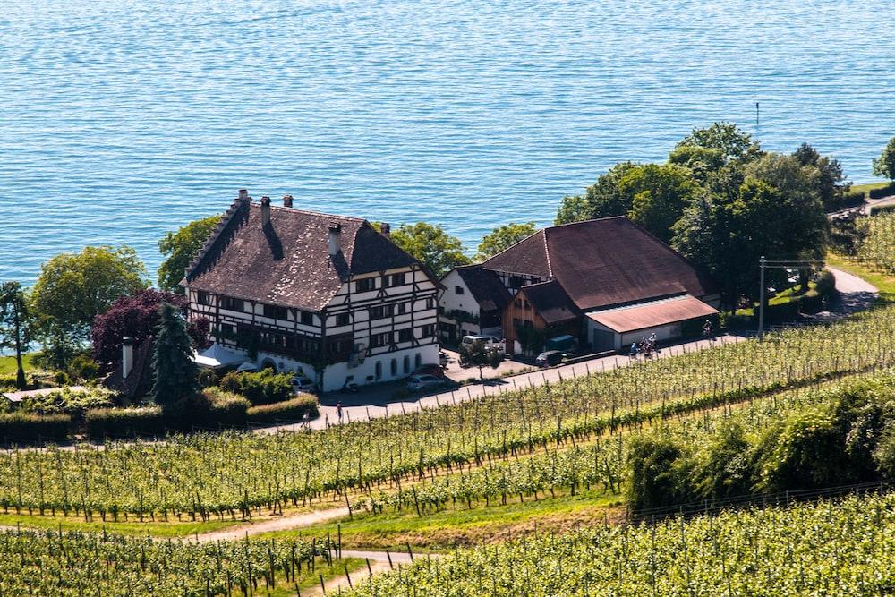 Bodenseehotel Renn 2
