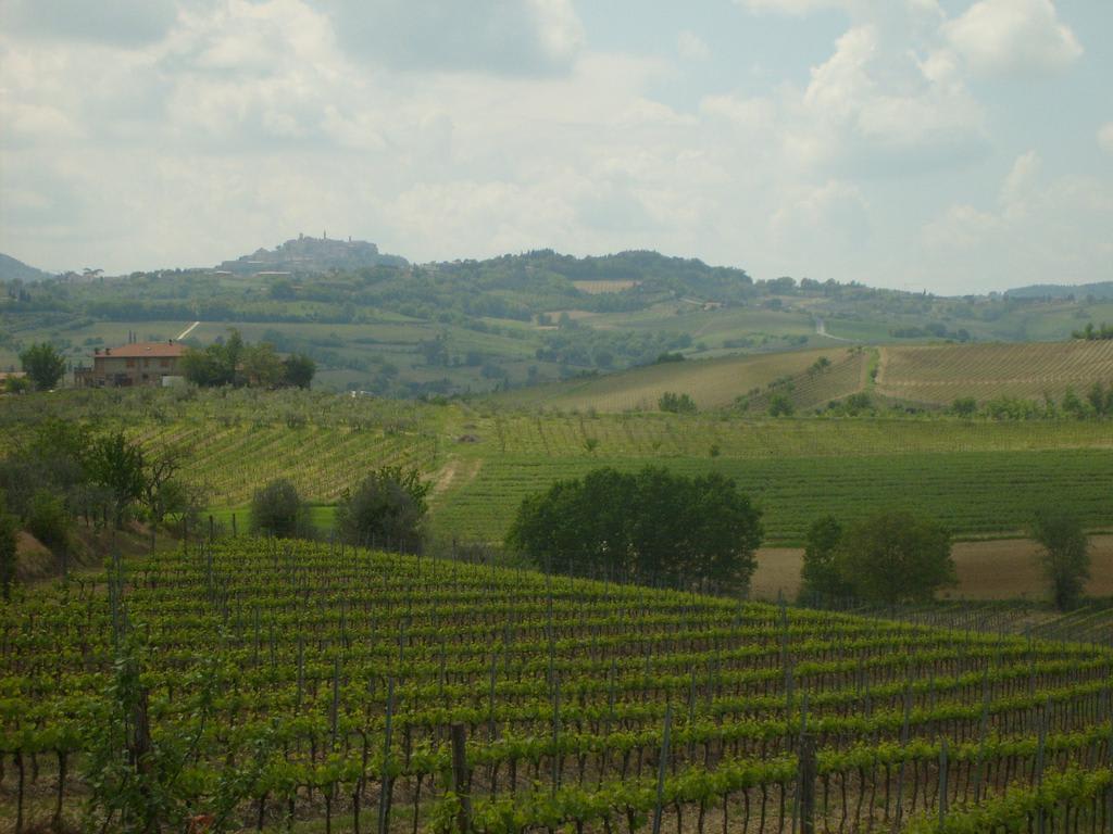 L'Orto Di Panza 2