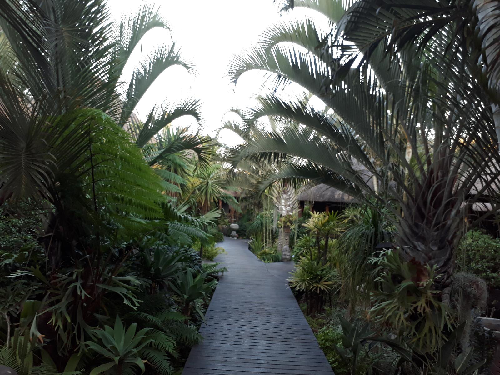 Lodge Afrique 1