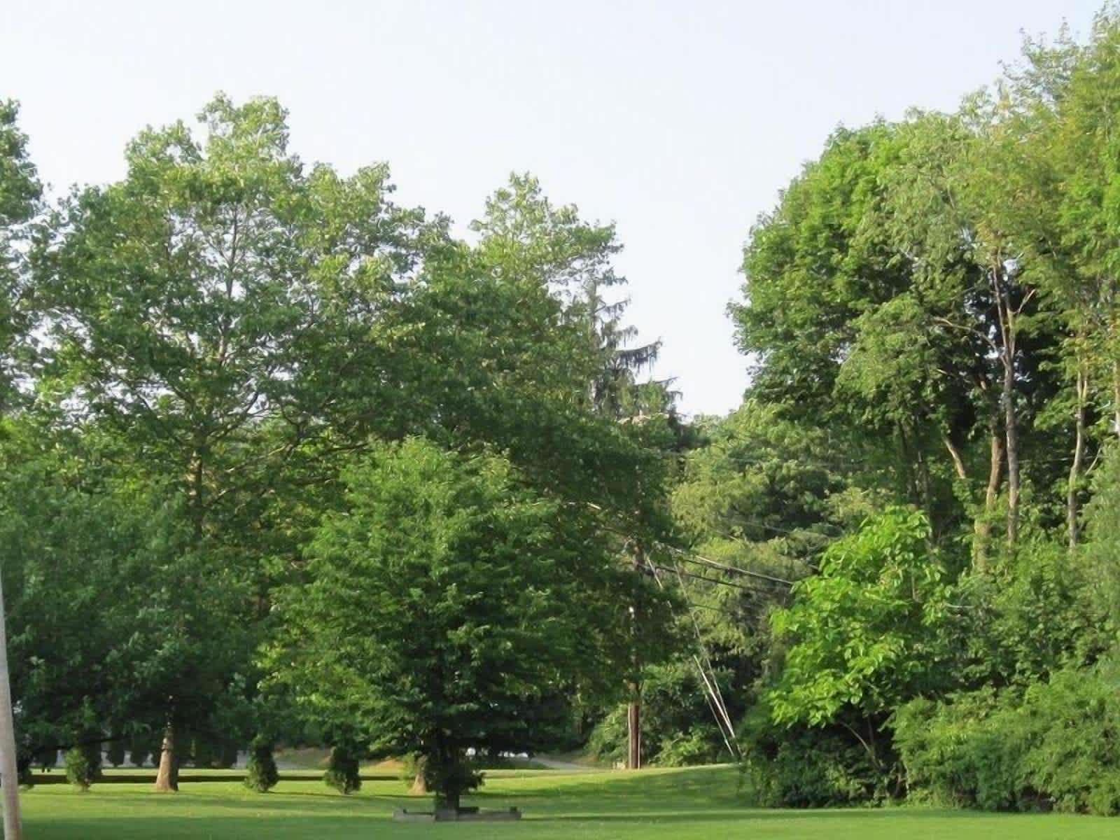 Budget Motor Inn- Mahopac 1