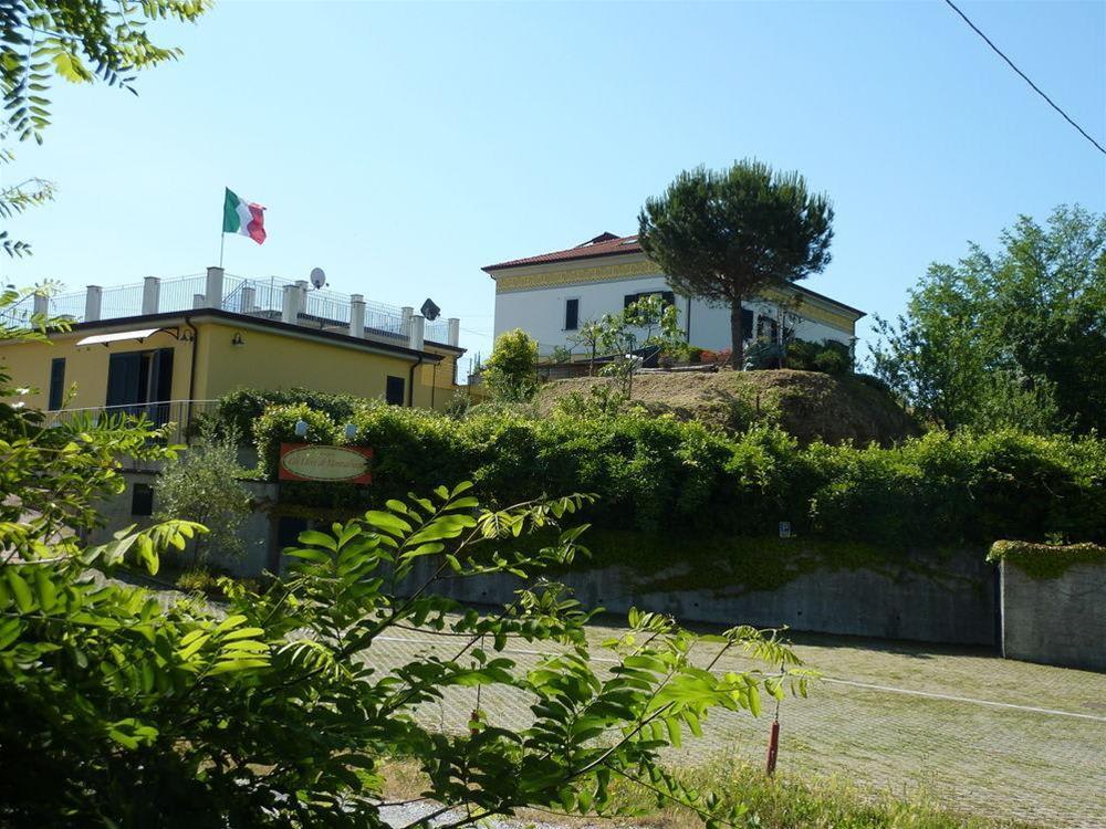 Gli Ulivi Di Montalbano 2