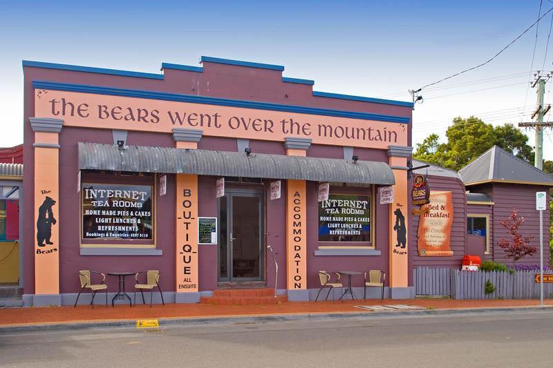 The Bears 1