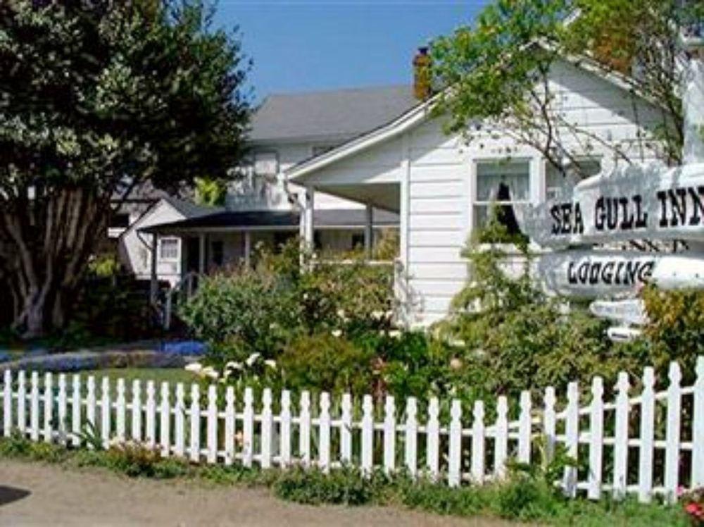 Seagull Inn Bed & Breakfast 2