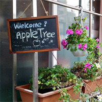 Appletree Guesthouse 1