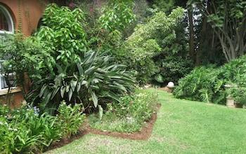 Treetops Guesthouse 2