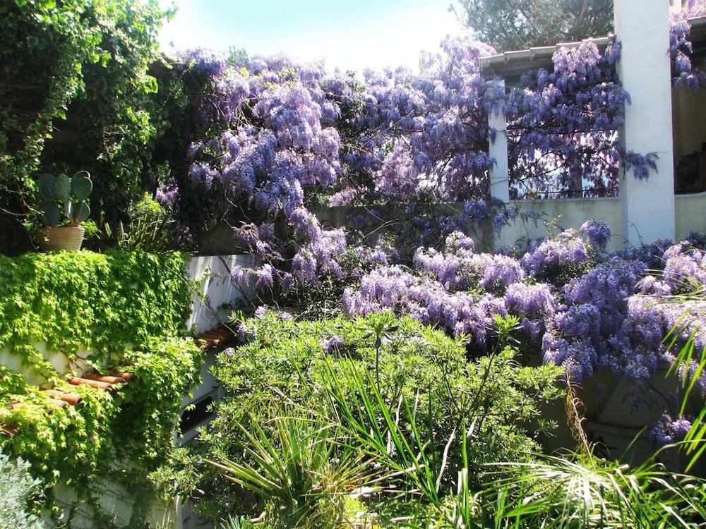 B&B La Salamandra Kitchengarden 1