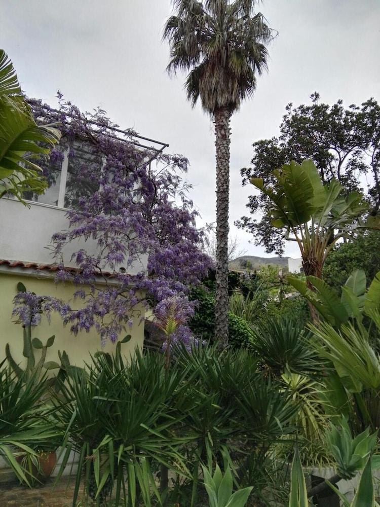 B&B La Salamandra Kitchengarden 2