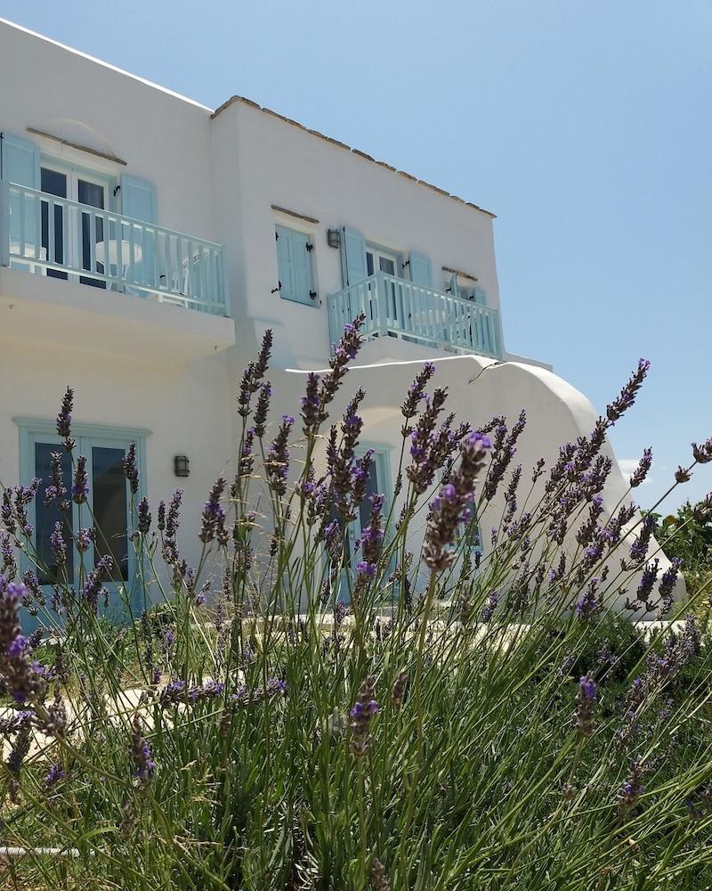 Orion Naxos Hotel 2