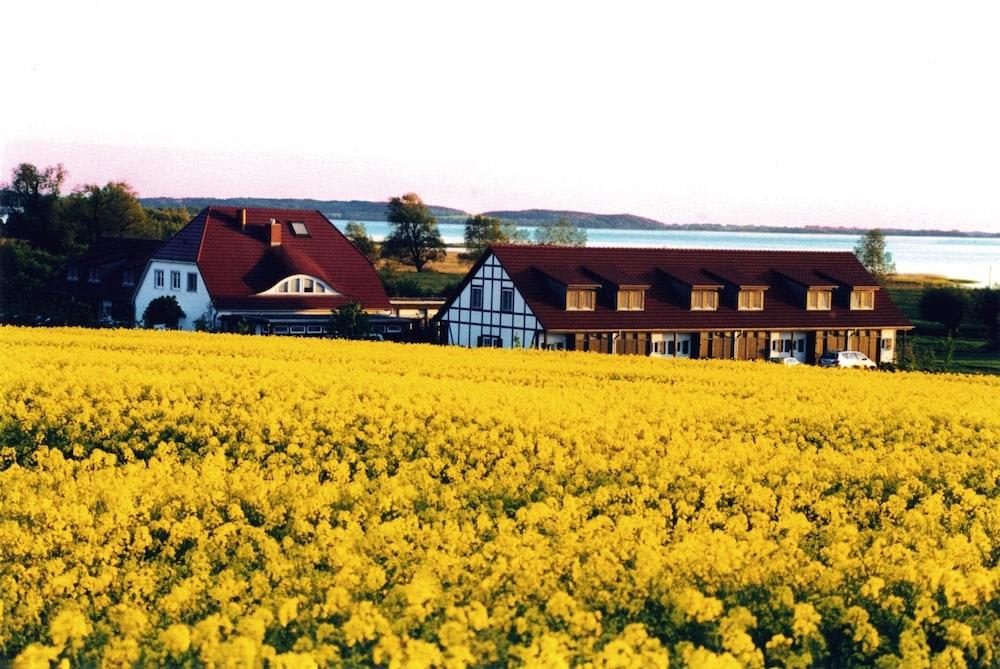 H.W.S. Hotel Der Wilde Schwan 2