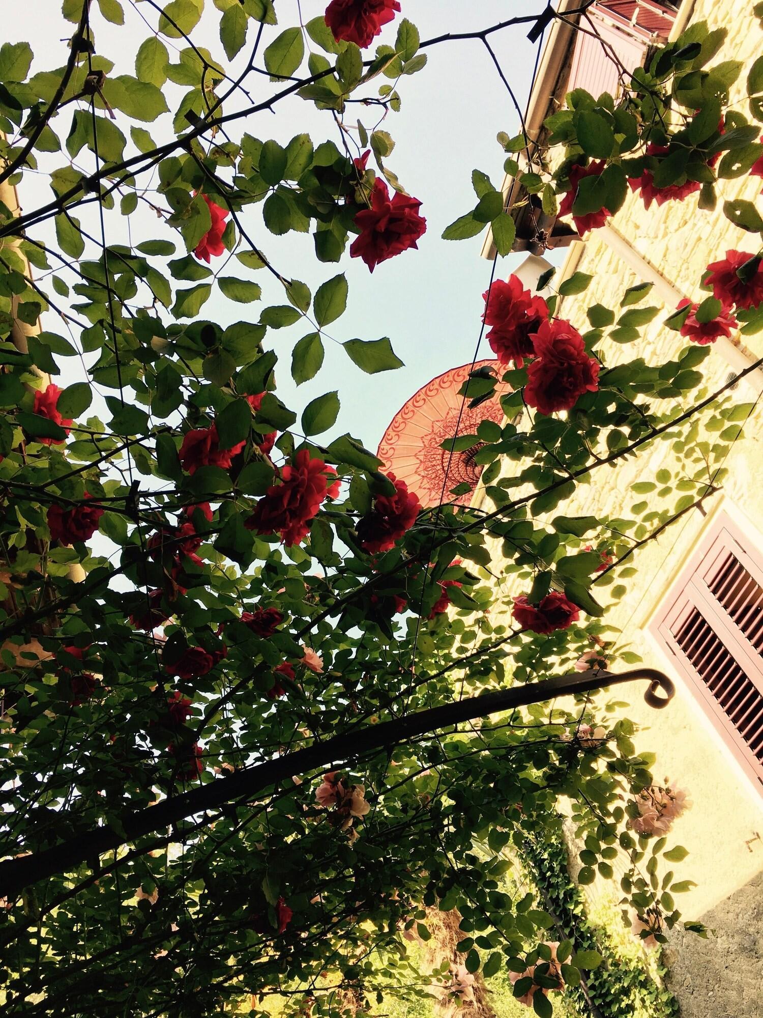 Borgata Cantone Country House B&B 2