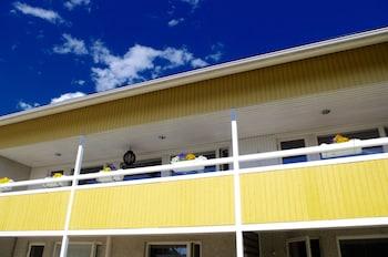 GuestHouse Arctic Heart 2