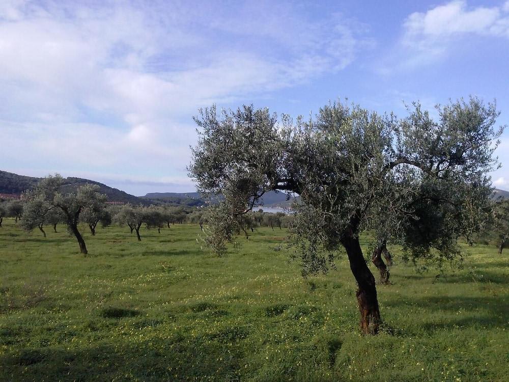 B&B La Casa Bianca di Porto Conte 2