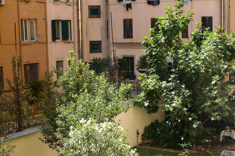 Vanella Rome Domus 2