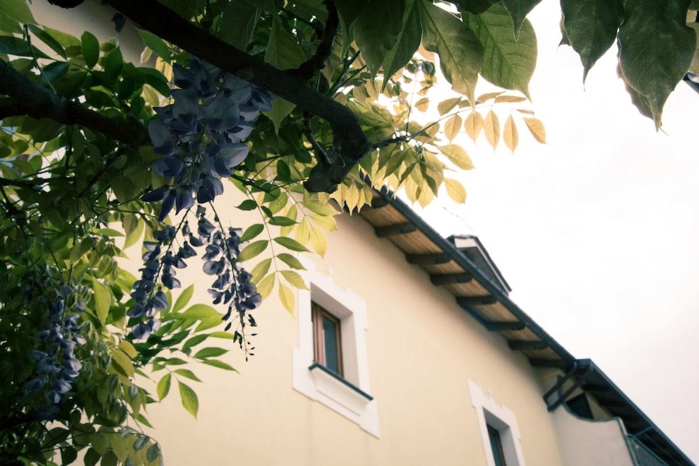 Palazzo Lauritano 2