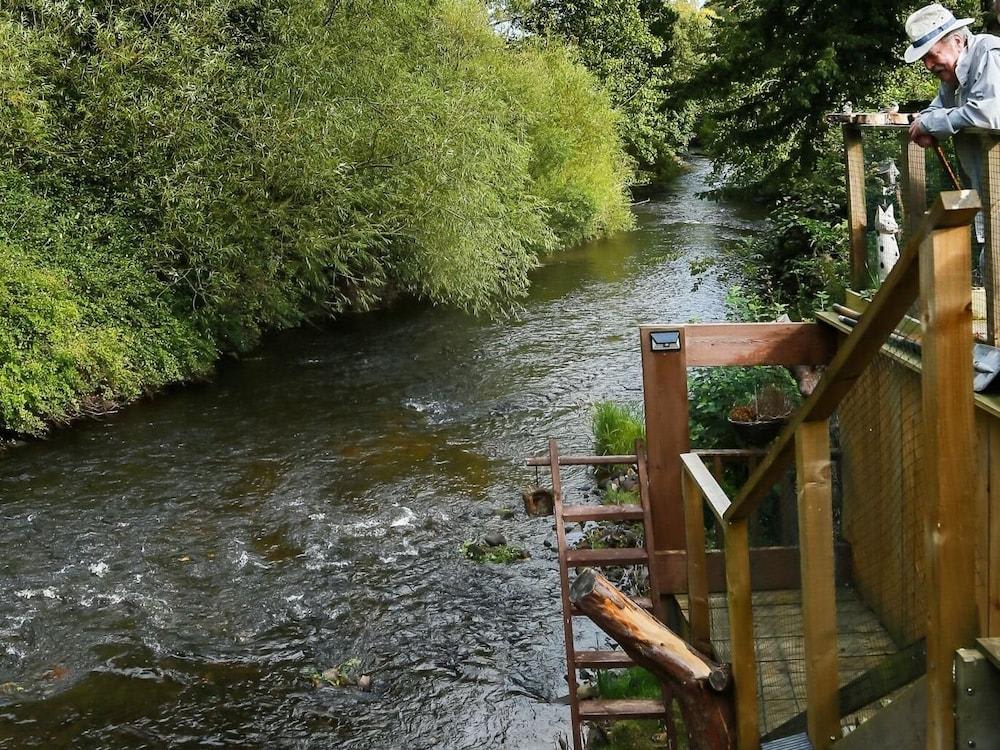 Kevock Vale Park 2