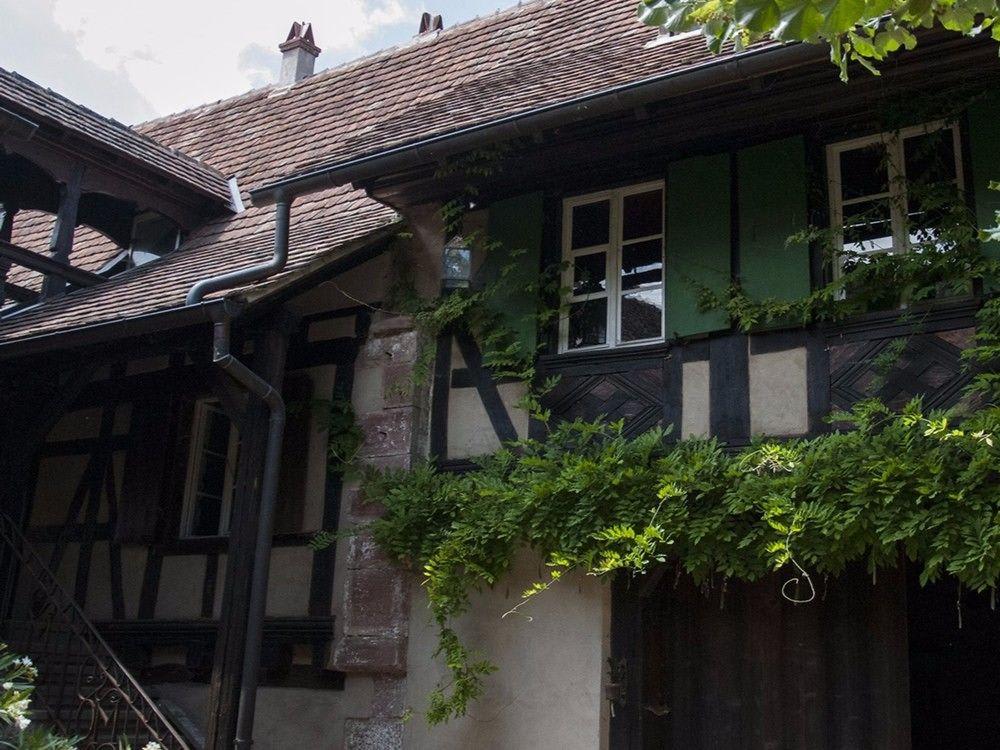 Unter der Linde 1