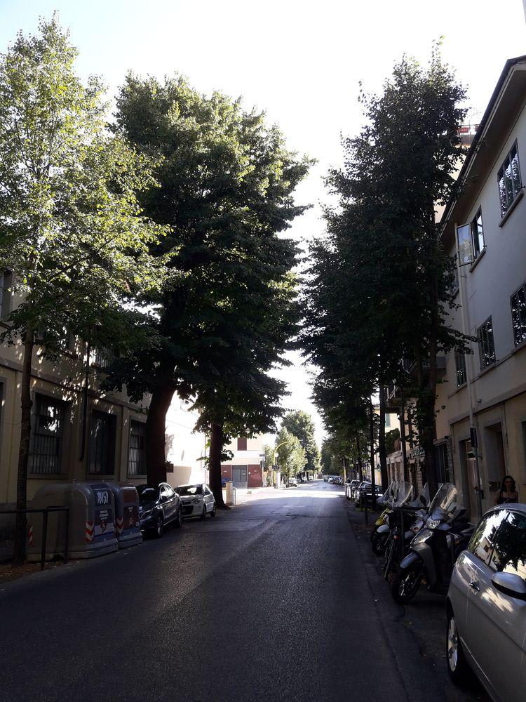 Dimora Del Magnifico 1