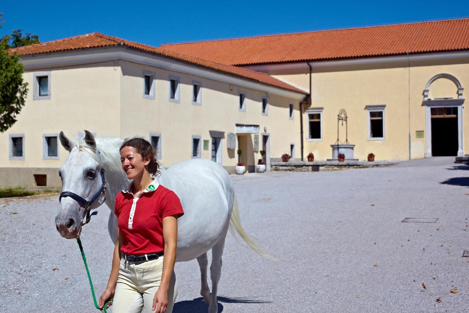 Hotel Maestoso - Lipica 1
