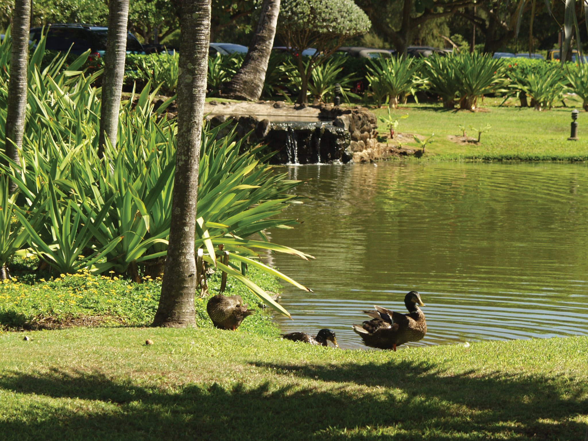Kauai Beach Villas 2
