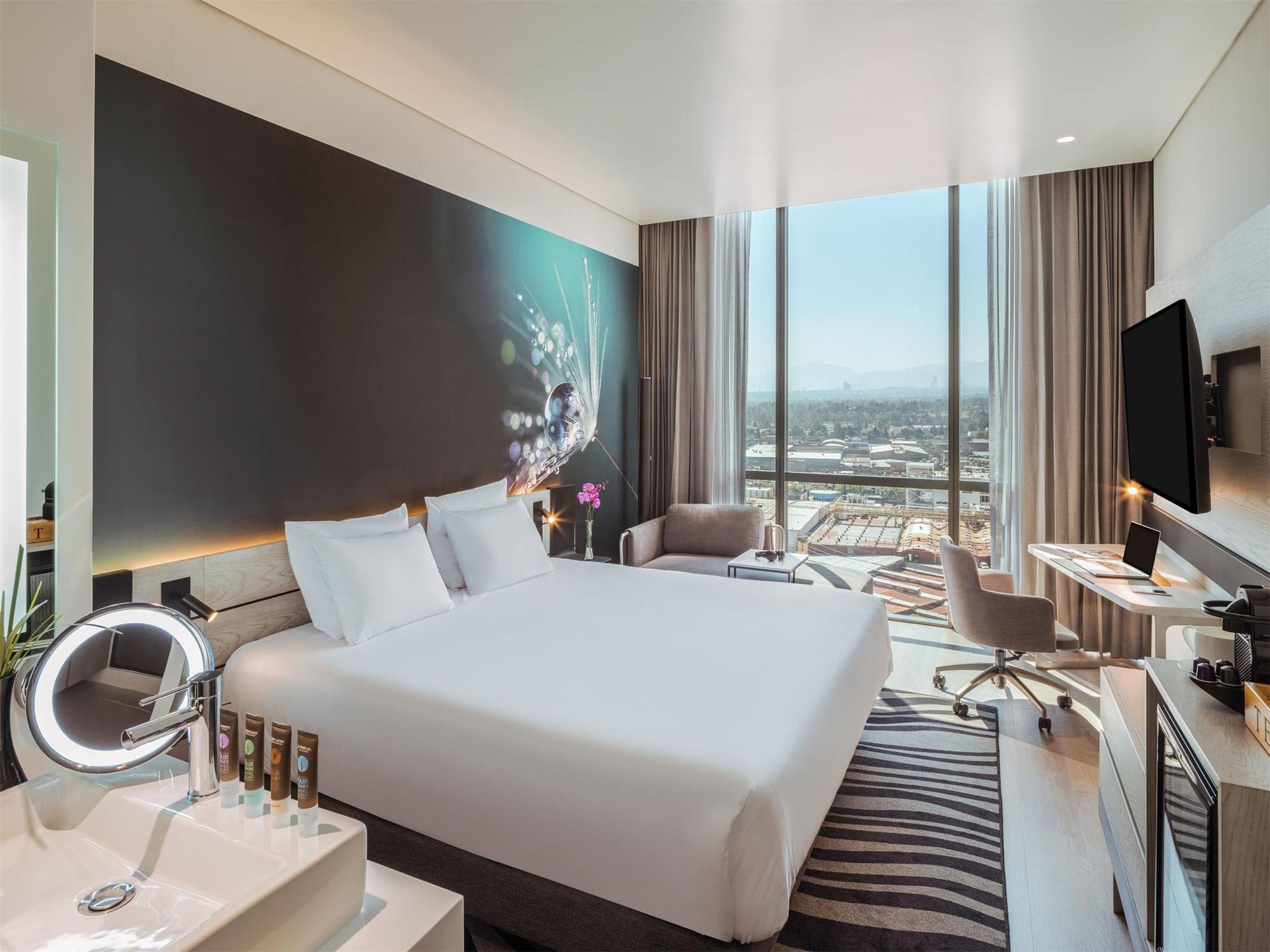 Novotel Mexico City Toreo 1
