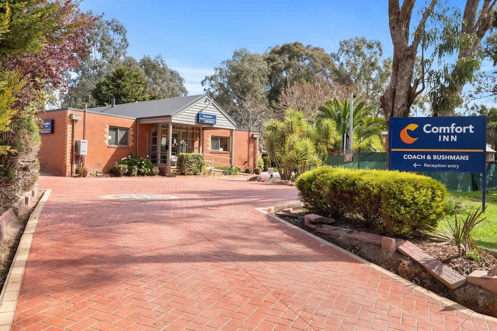 Comfort Inn Coach & Bushmans 1