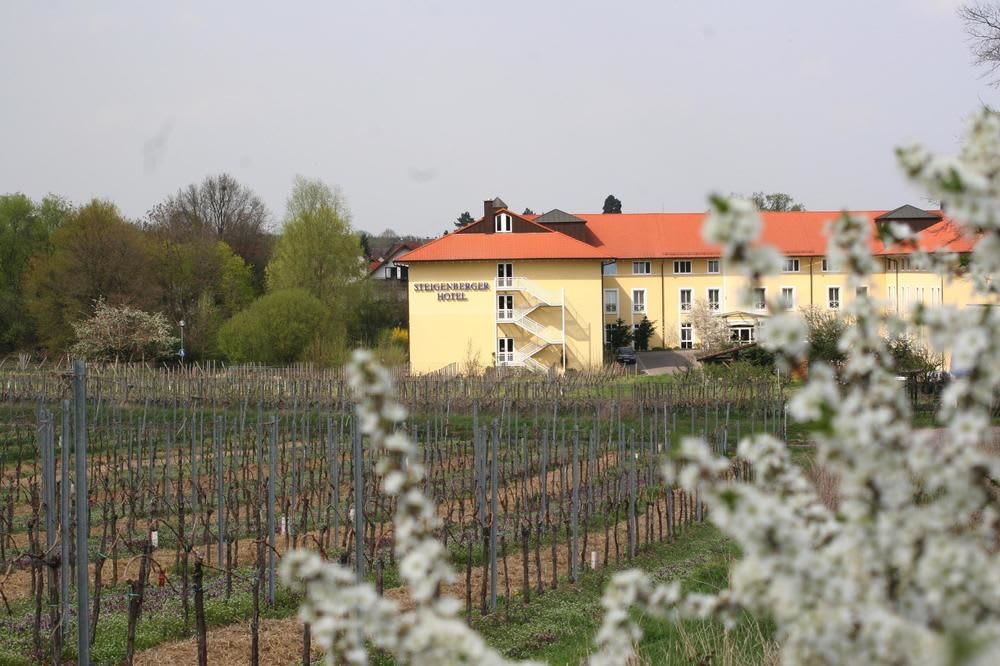 Maxx By Steigenberger Deidesheim 1