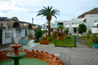 Heliomar Palmeras 1