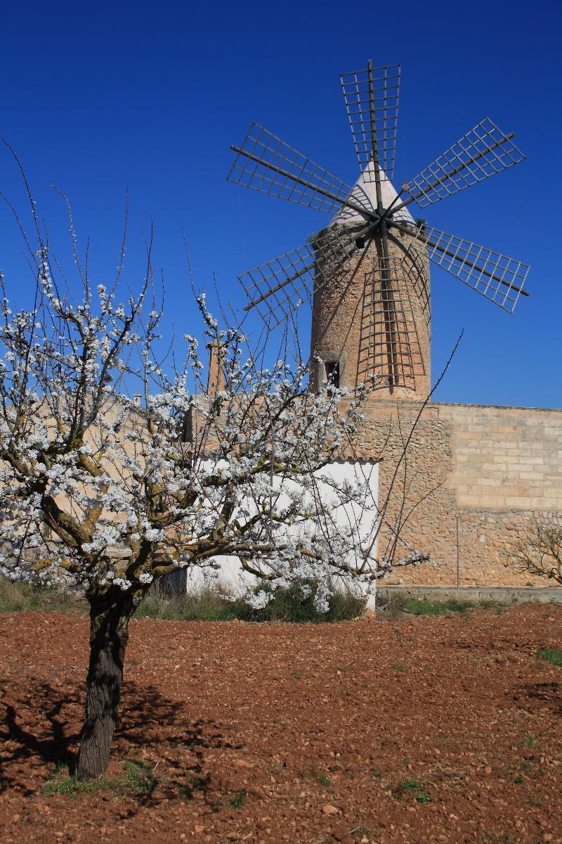 PETIT HOTEL ALGAIDA 2