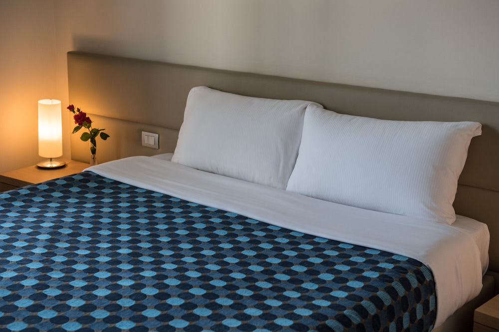 Phi Hotel Alcione 2