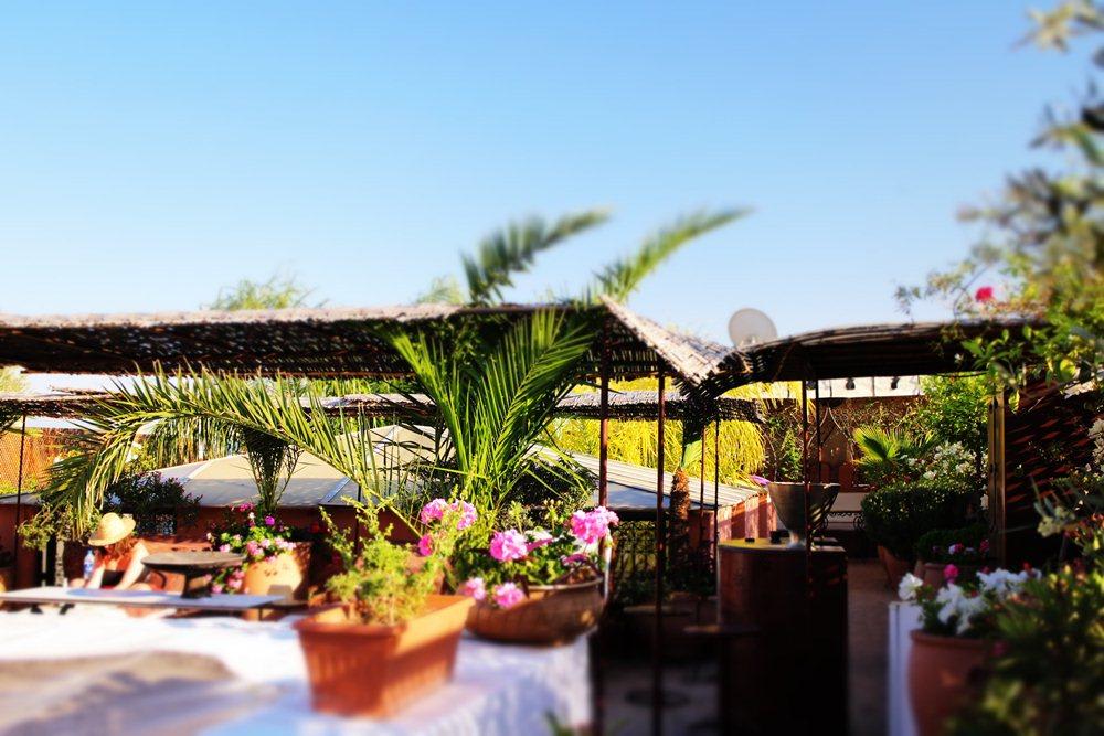 Riad Ayadina & SPA 2