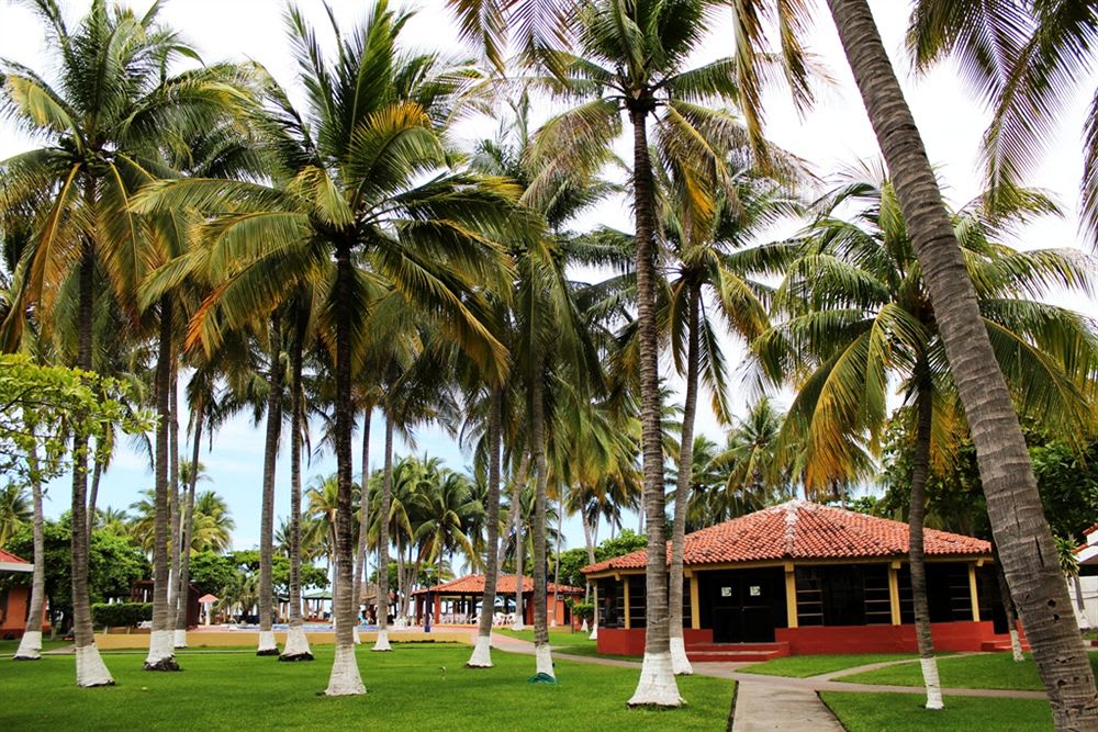 PACIFIC PARADISE 2
