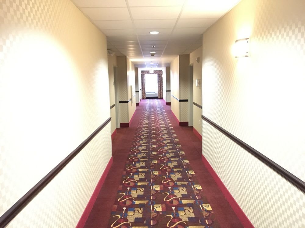 Comfort Inn & Suites Maingate South 2