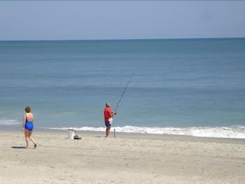 Sea Dip 2