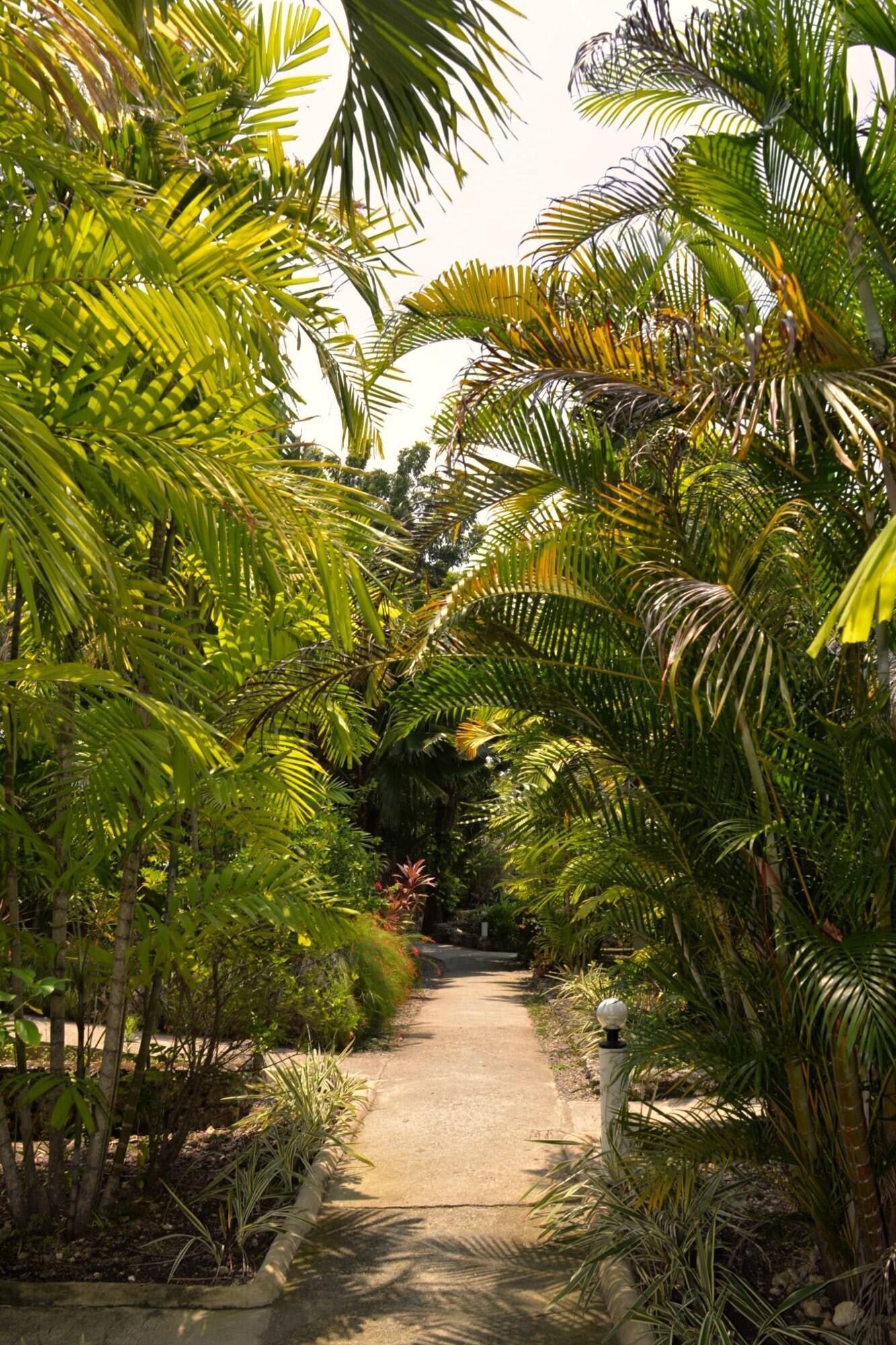 Marcosas Cottages Resort 1