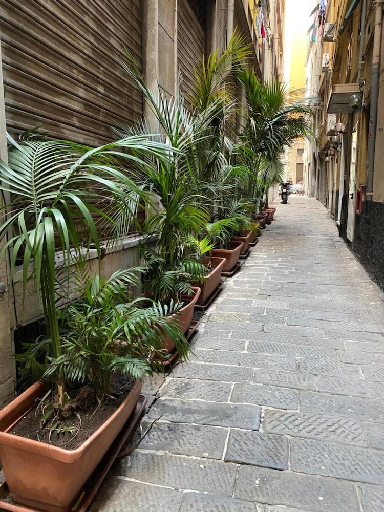Hotel Veronese 2
