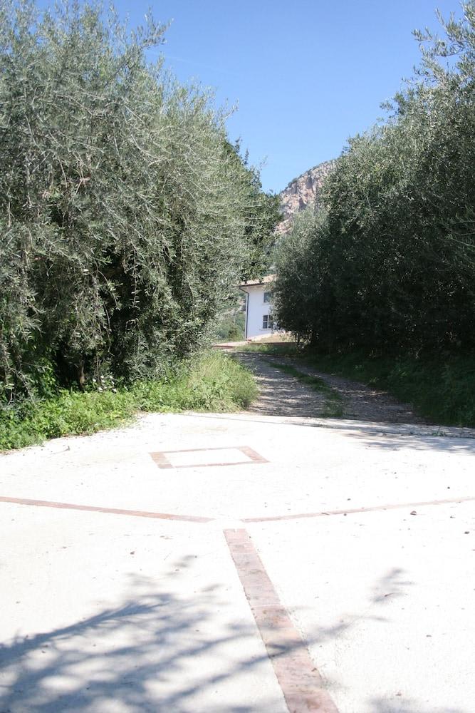 B&B Macchia d'Olmo 1