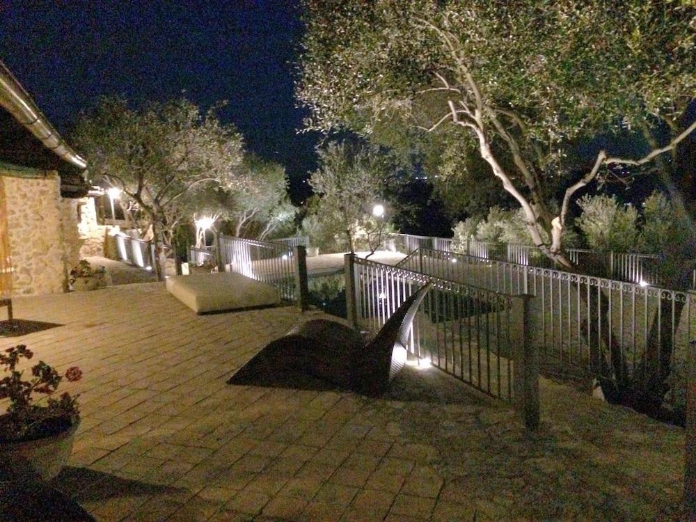 Roba Degli Ulivi 2