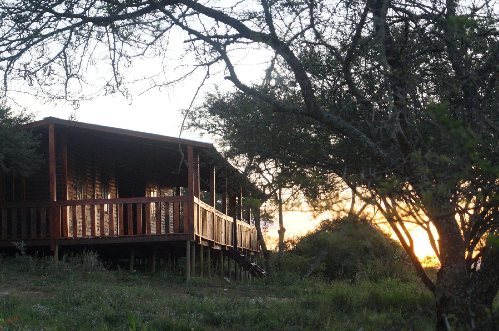 Pure Nature Familodge 1