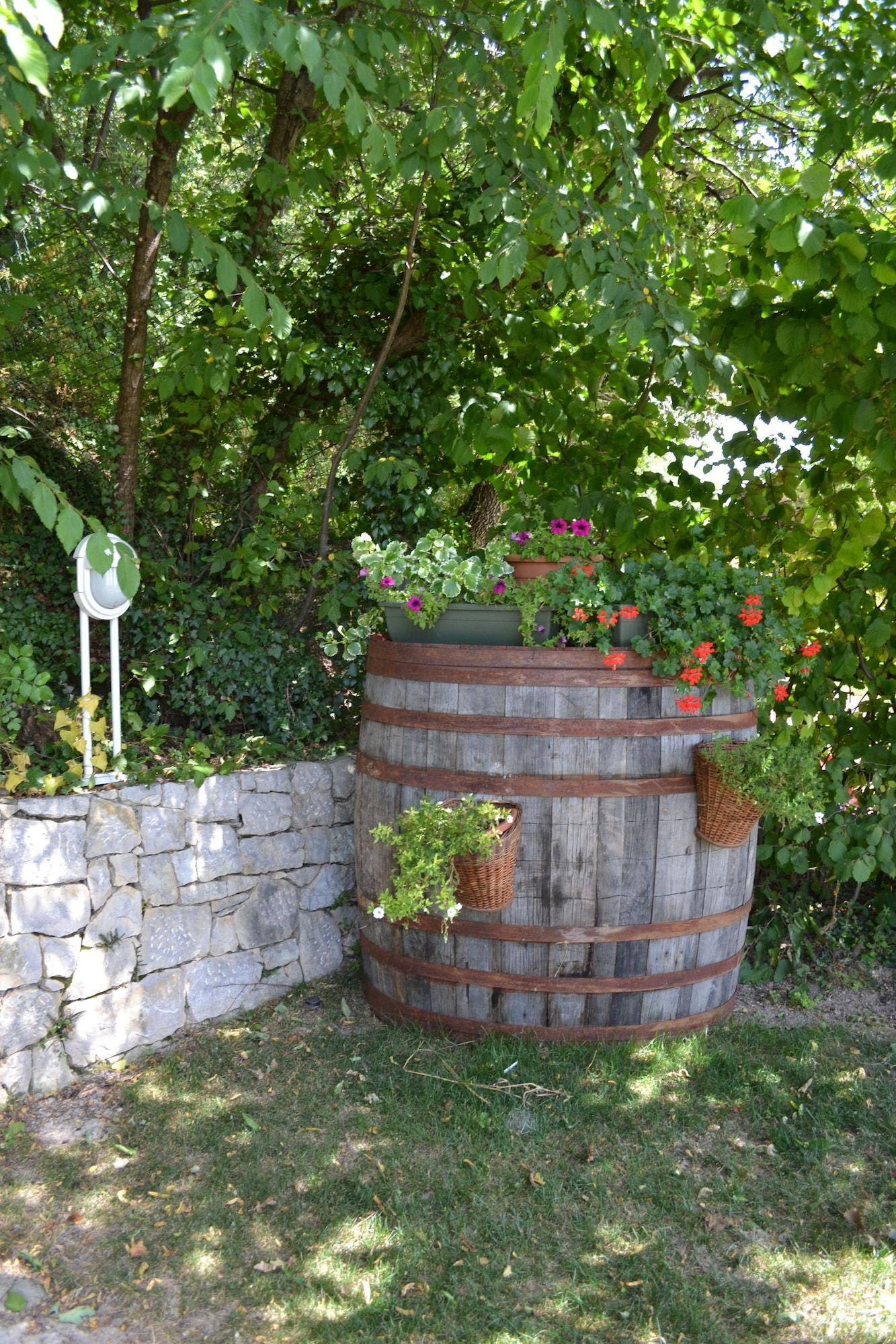 B&B Le Corone 2