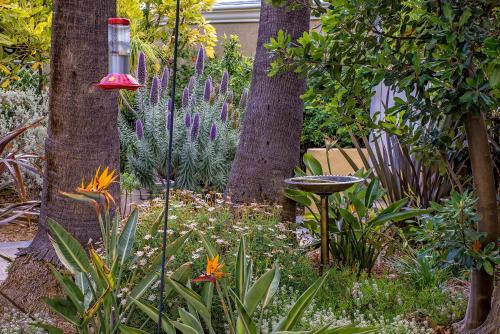 The Avalon Hotel in Catalina Island 2