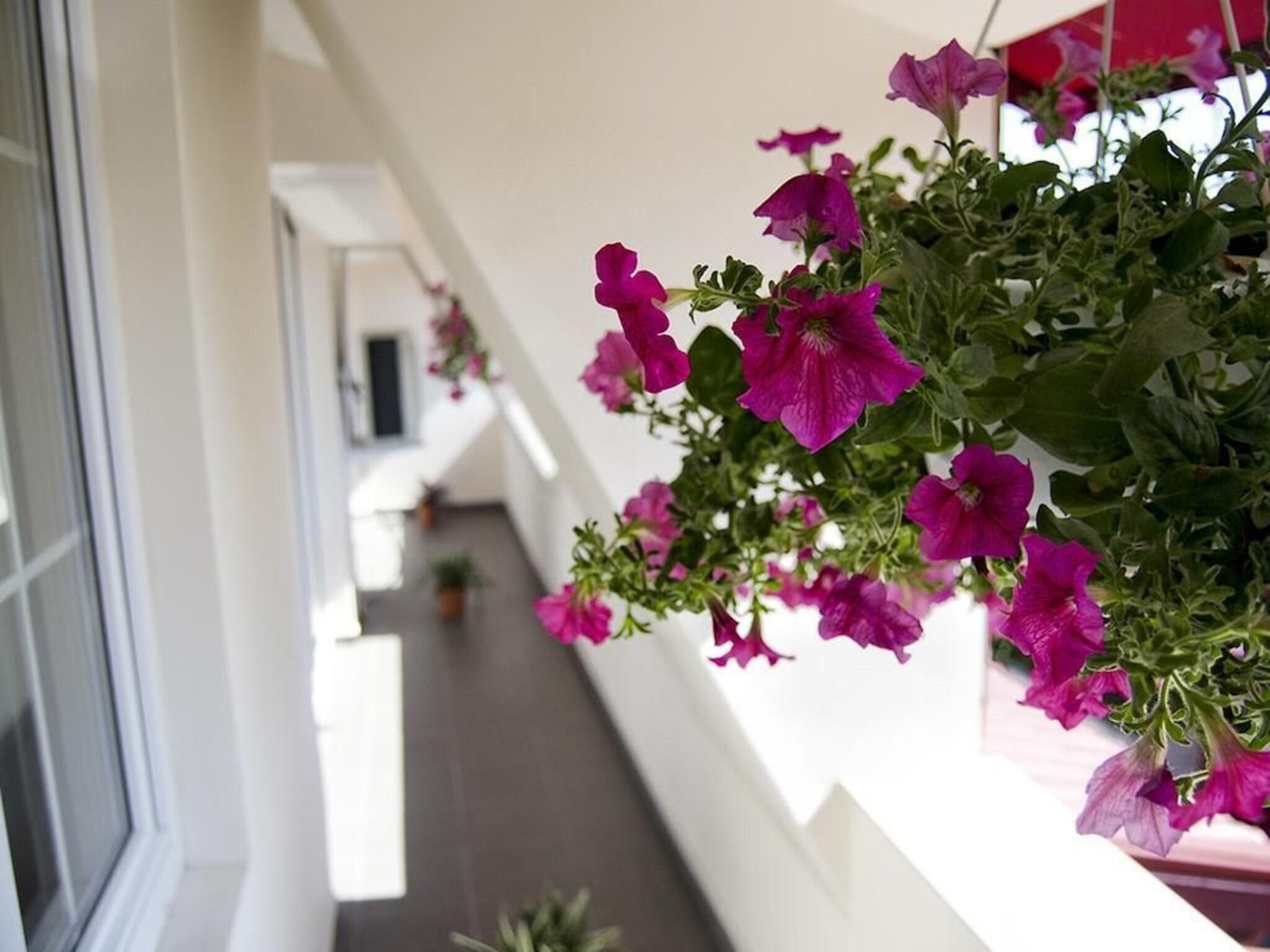 Tranzzit Hotel 2
