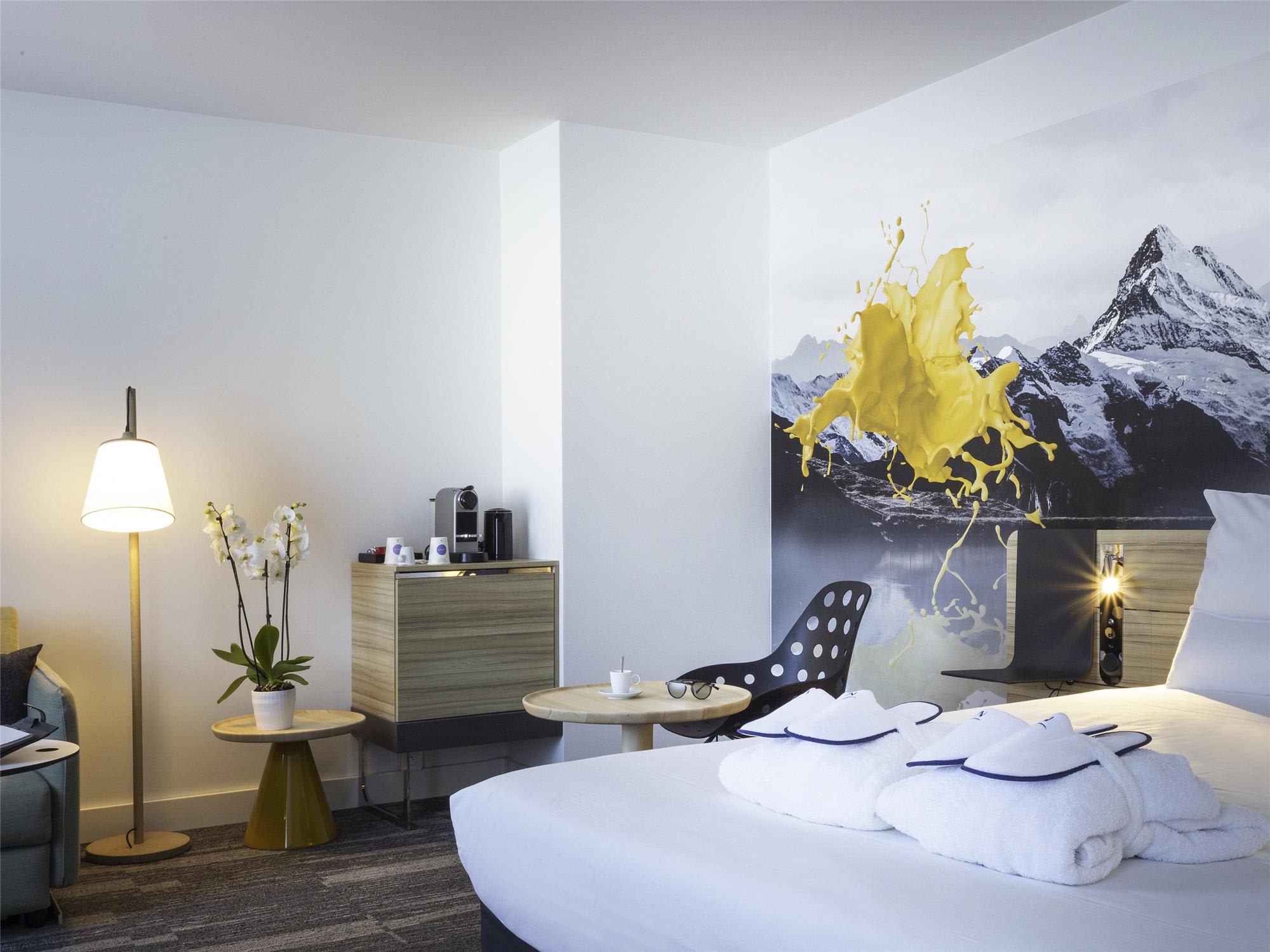 Novotel Annecy Centre 2
