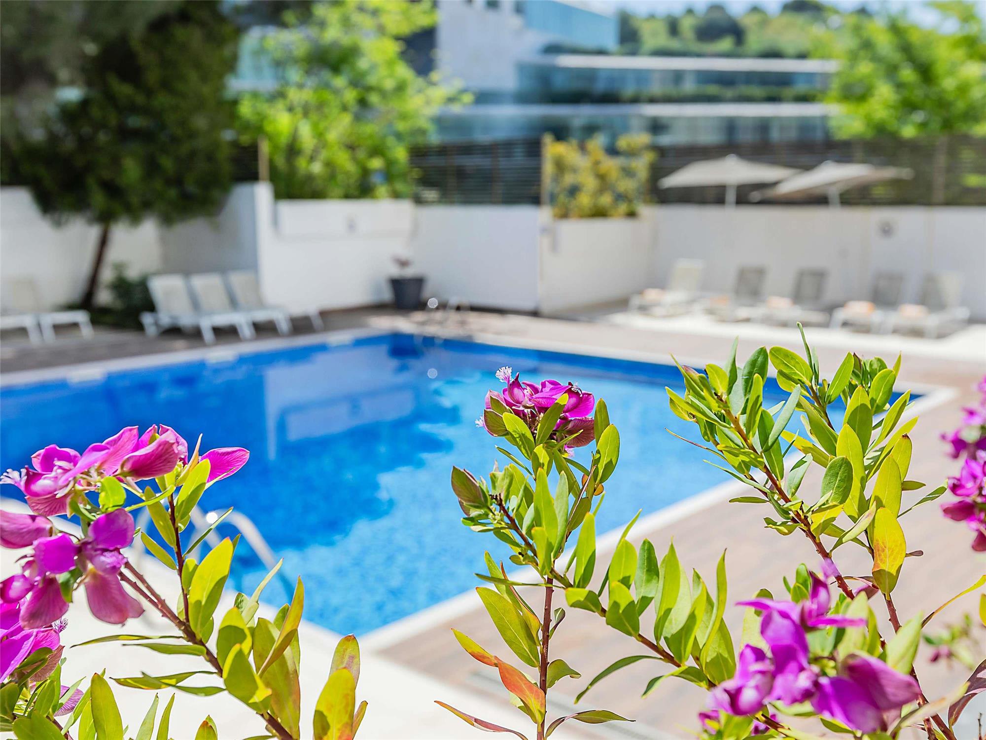 Novotel Lisboa 2