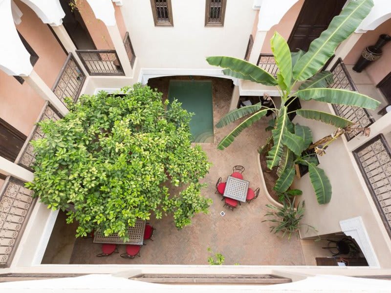 Riad l'Oiseau du Paradis 2