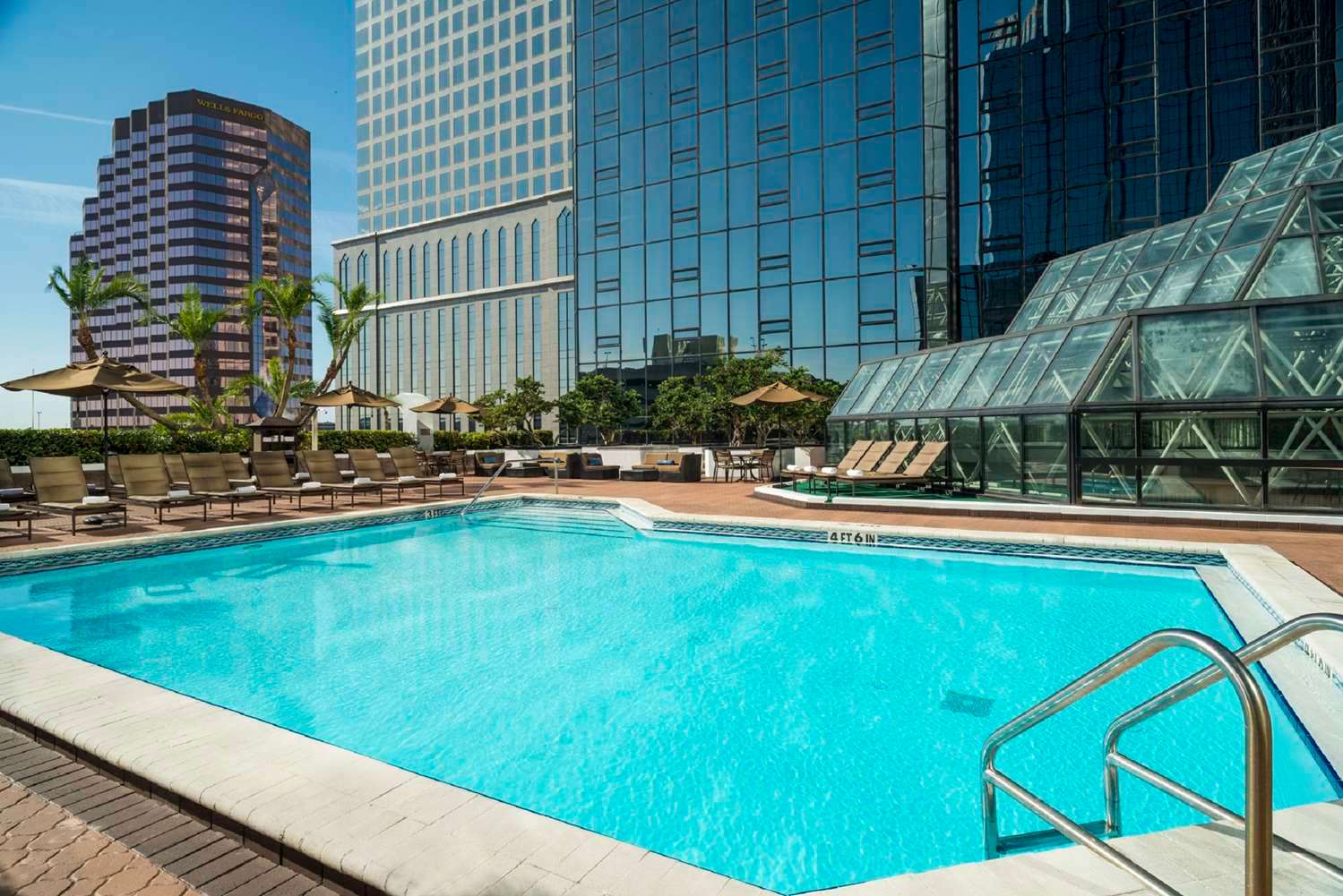 Hilton Tampa Downtown 1