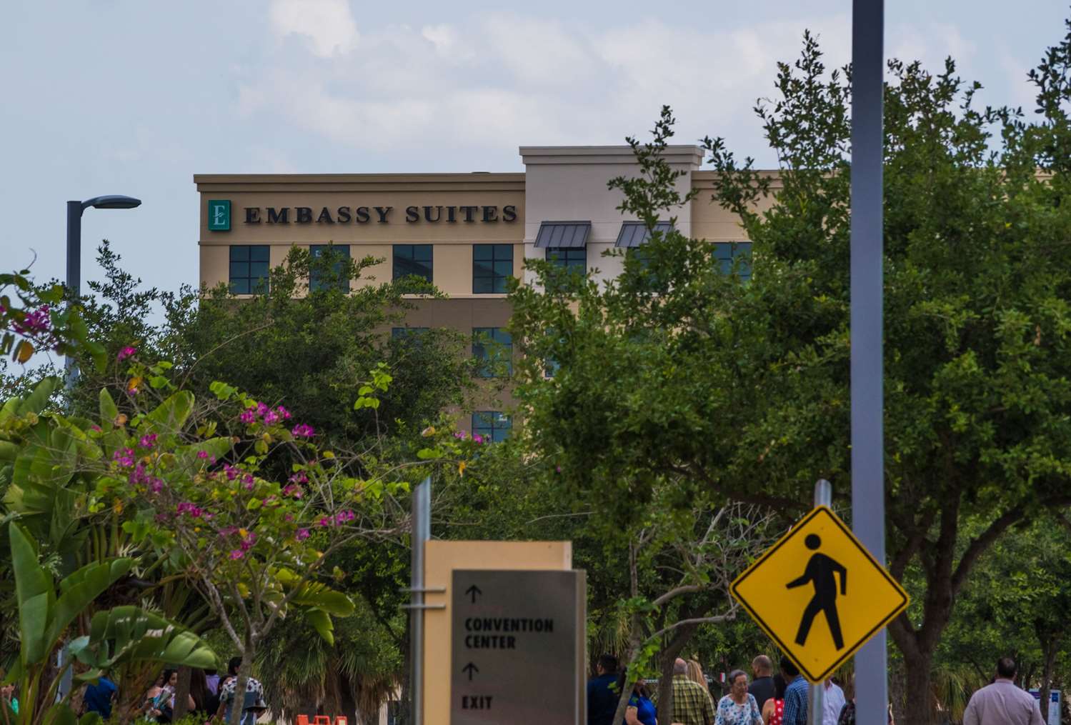 Embassy Suites by Hilton McAllen Convention Center 1