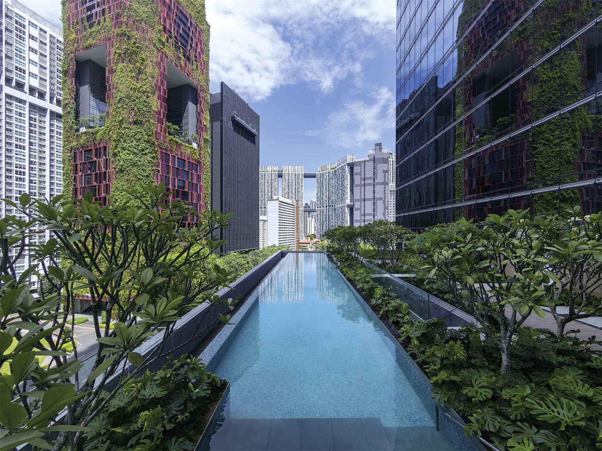 Sofitel Singapore City Centre 1